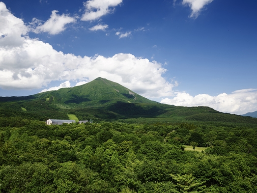 【2024年4月〜】60日前優待（夕朝食付）